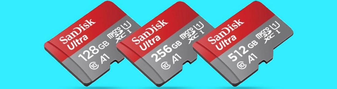 Sandisk memory msd sdsquac 256g gn6mn