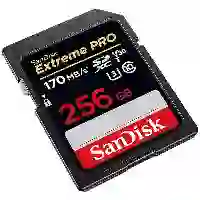 کارت حافظه SD سندیسک مدل sdsdxxy ظرفیت 256 گیگابایت 3